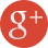 分享到google+